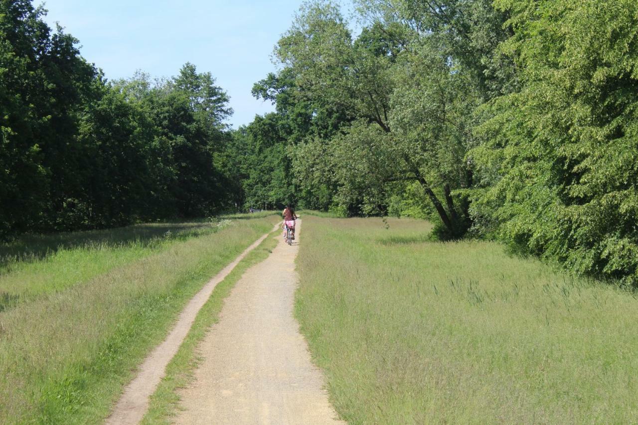 Spreewald Ferienwohnung Luebben Εξωτερικό φωτογραφία