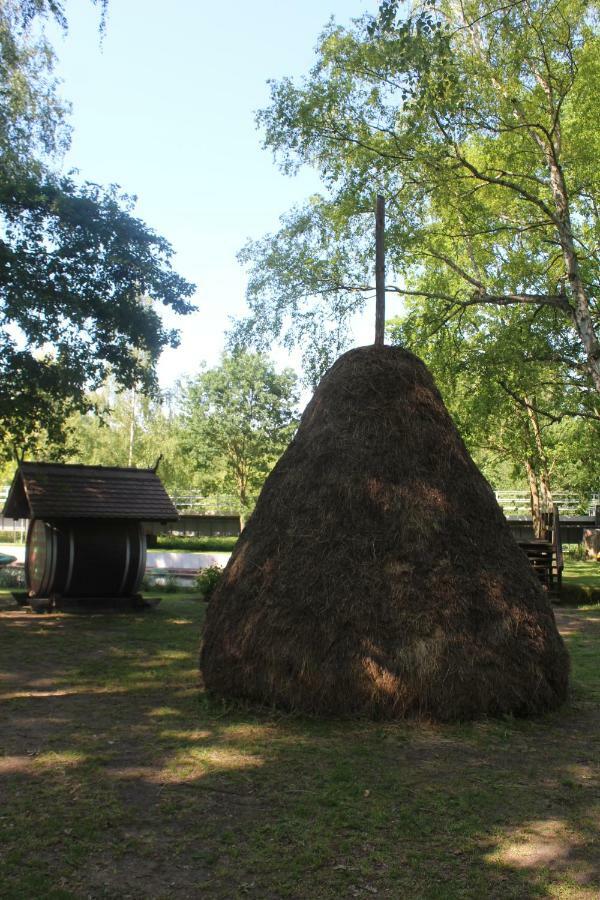 Spreewald Ferienwohnung Luebben Εξωτερικό φωτογραφία